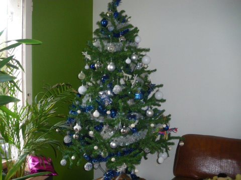 sapin.jpg, janv. 2015 sapin.jpg