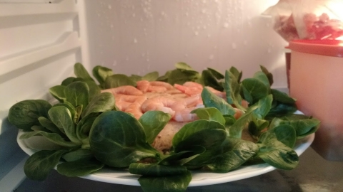 salade.jpg, fév. 2019 salade.jpg