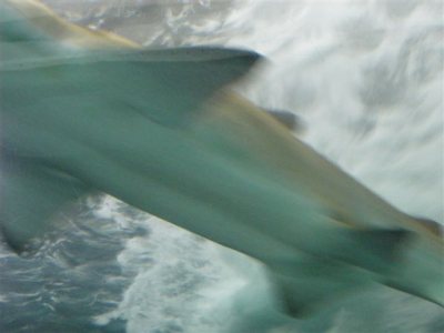 aqua01, fév. 2010 aqua01