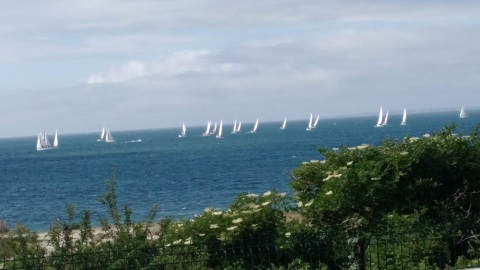 morbihan1.jpg, juin 2018 morbihan1.jpg