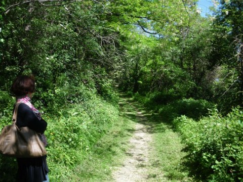 sentier, mai 2012 sentier