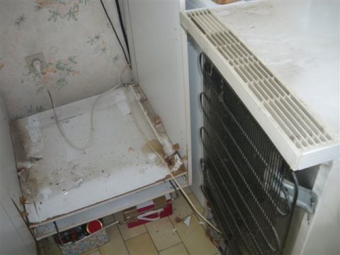 frigo2.jpg, mai 2013 frigo2.jpg