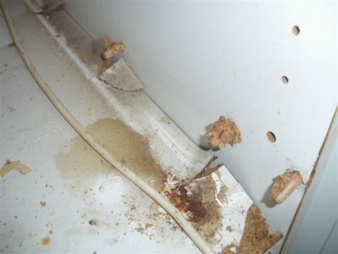 frigo3.jpg, mai 2013 frigo3.jpg
