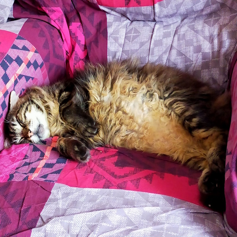 doudou.jpg, mai 2024