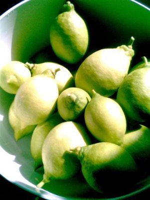 citron1