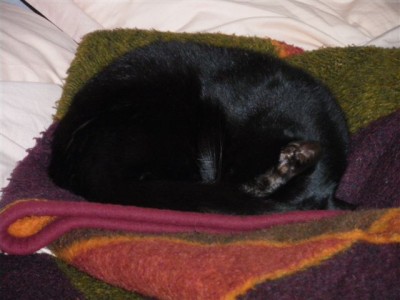 Piscoline, oct. 2009 Piscoline