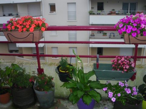 balcon1.jpg