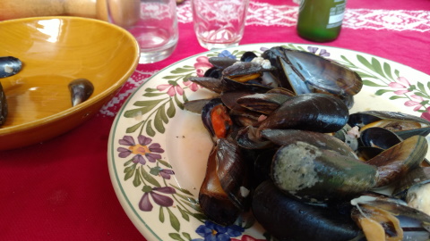 moules.jpg, sept. 2020