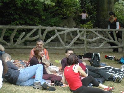 picnic1