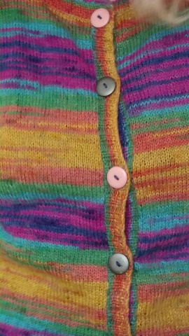 gillet2.jpg, déc. 2020